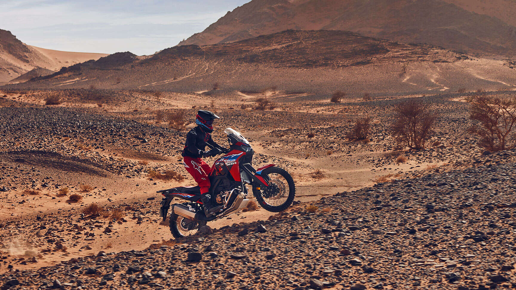 Africa Twin